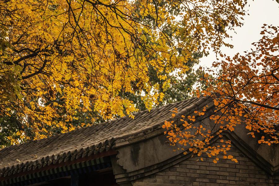 北京茅盾故居图片