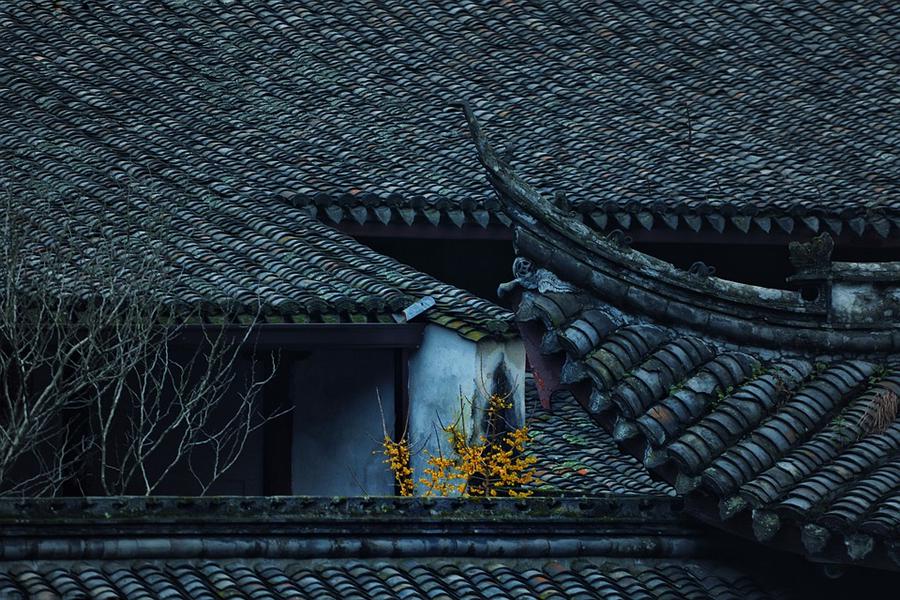通教寺图片