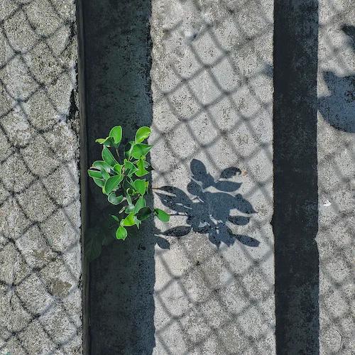 北京邮政博物馆（大清邮政总局旧址）图片