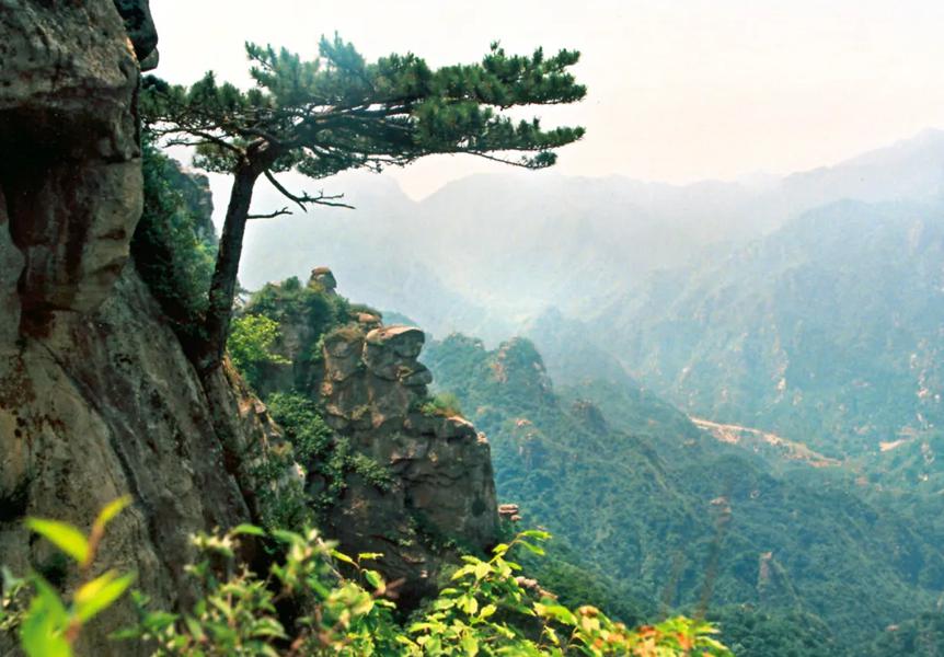桃源仙谷自然风景区图片