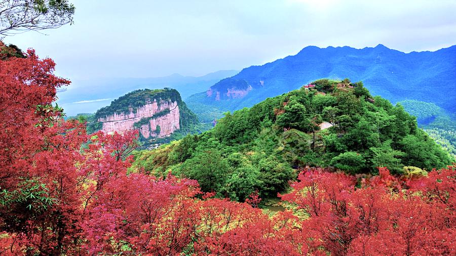 桃源仙谷自然风景区图片
