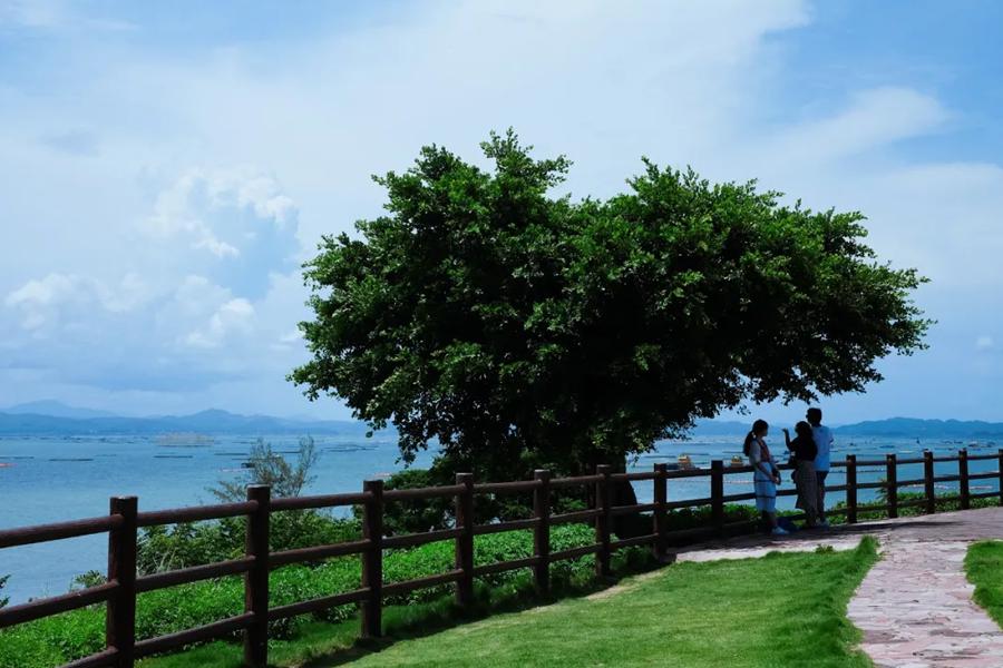 江山半岛图片