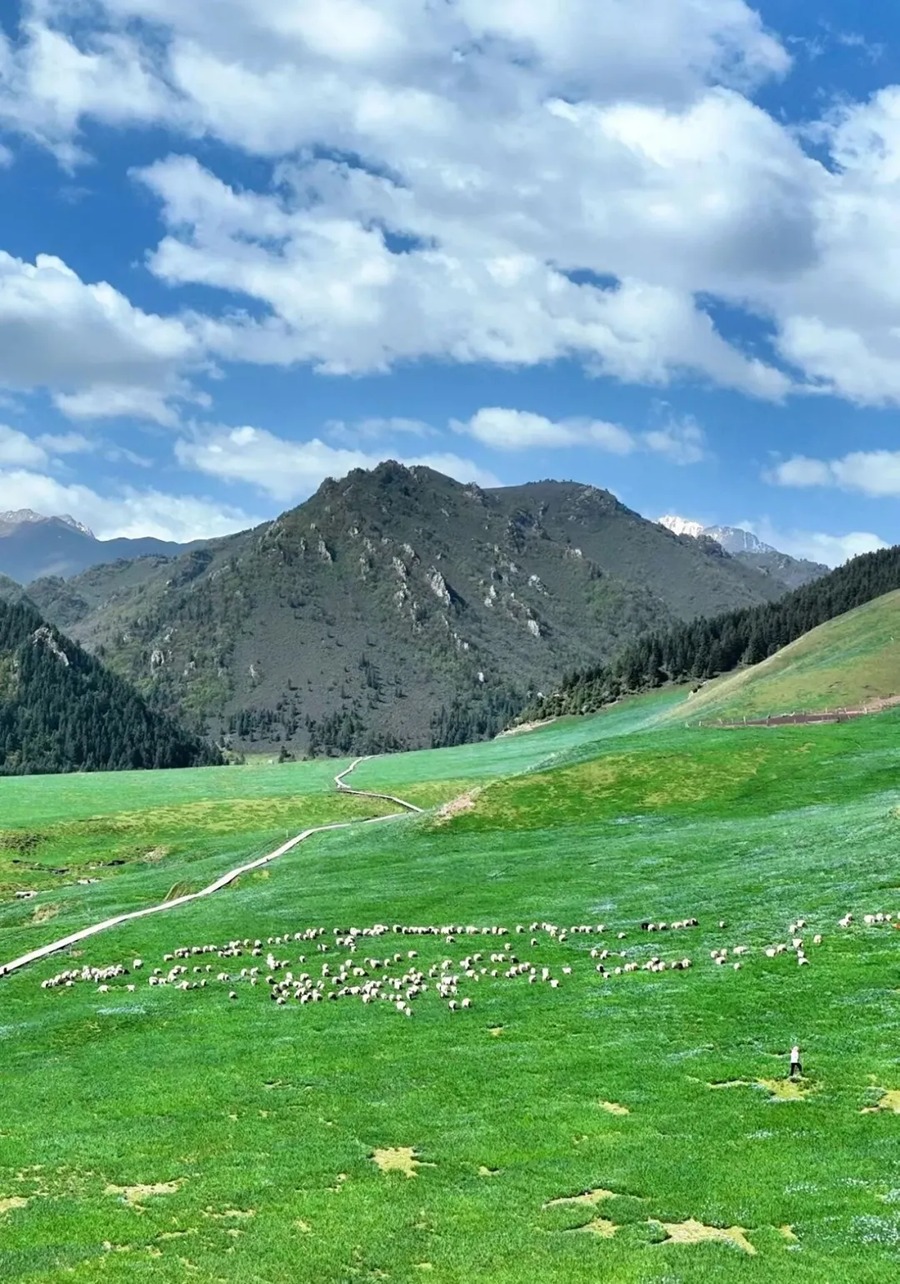 祁连山冰沟河景区图片