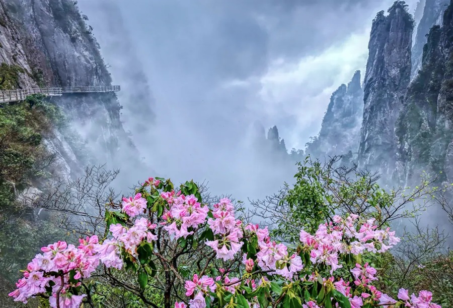 莽山五指峰景区图片