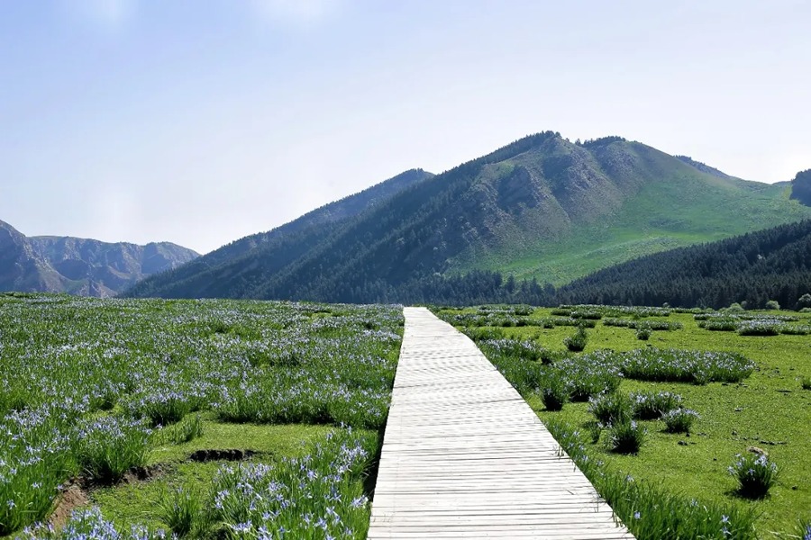 祁连山冰沟河景区图片