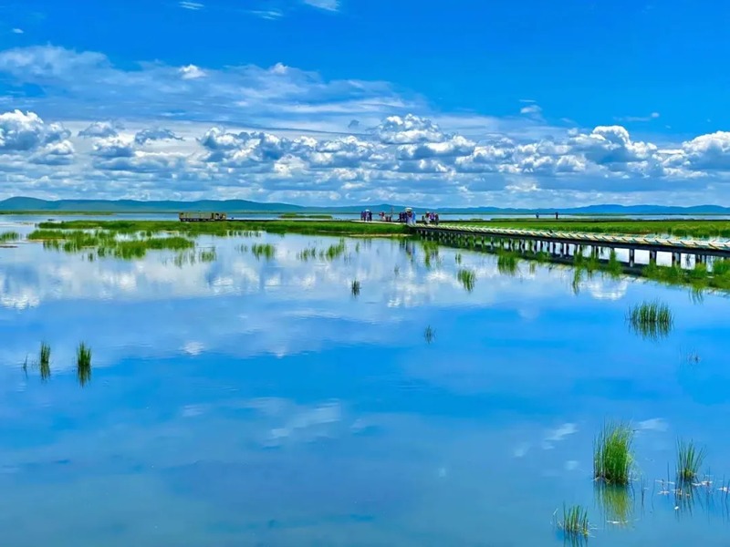若尔盖花湖生态旅游区图片