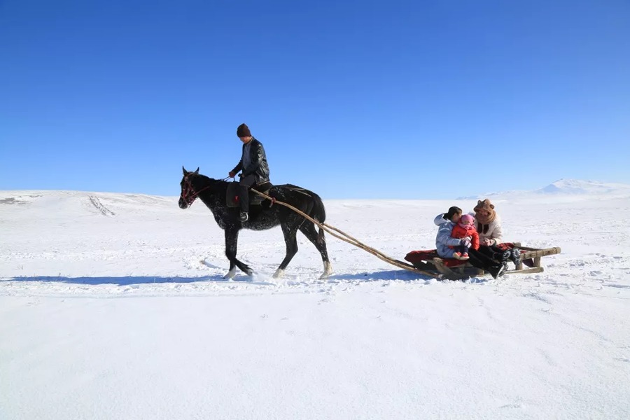 昭苏县滑雪场图片