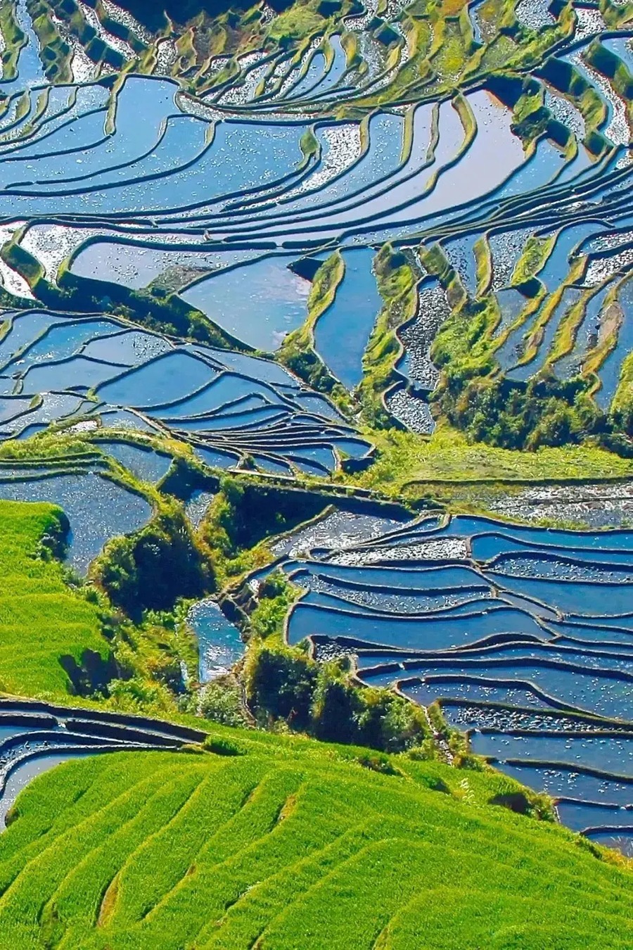 元阳哈尼梯田图片