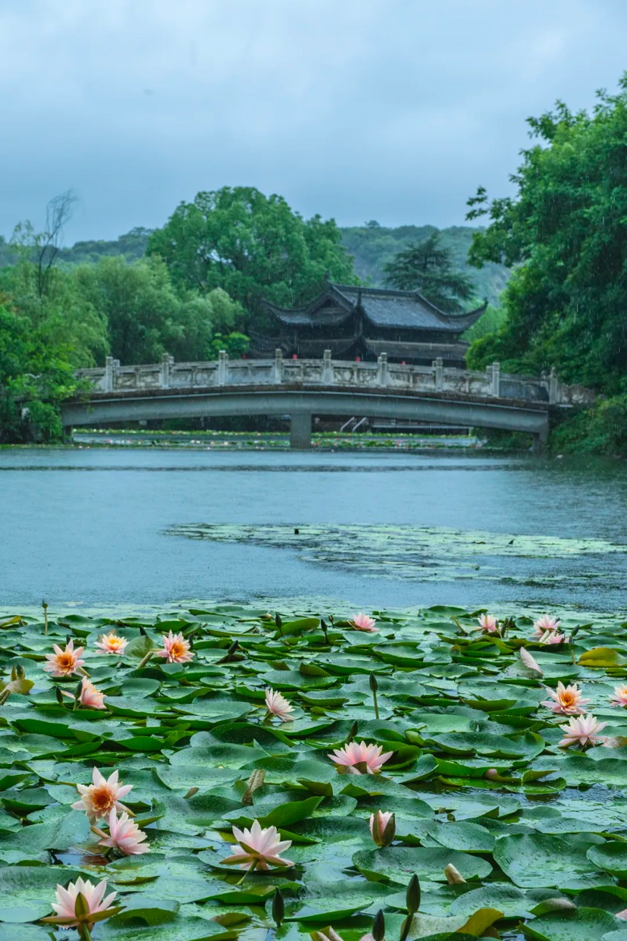 永泉小镇图片
