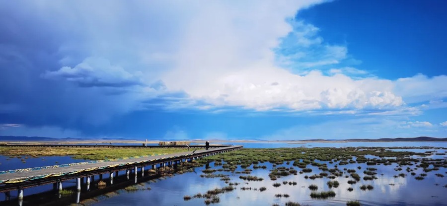 若尔盖花湖生态旅游区图片
