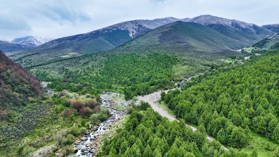 祁连山冰沟河景区图片