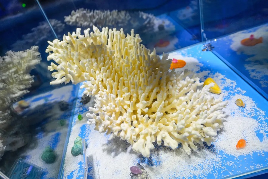 长沙湘江海洋王国图片