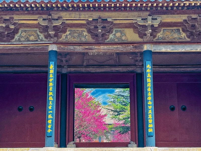 永乐宫图片
