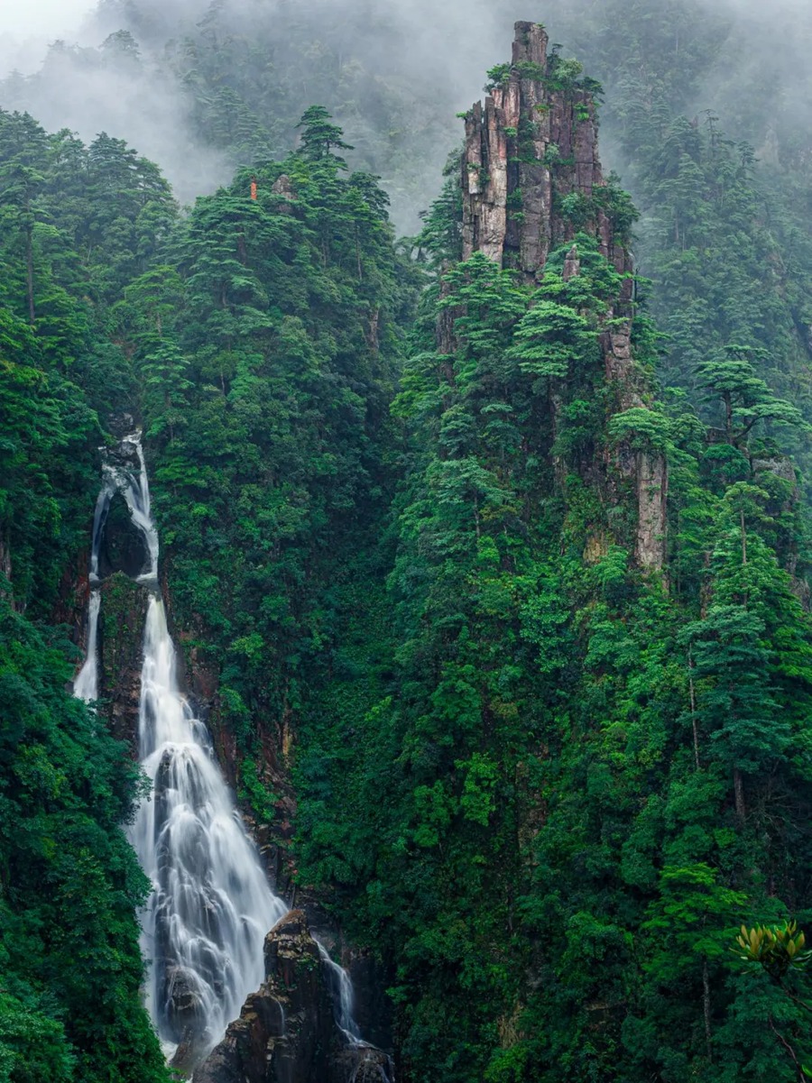 莽山旅游区国家森林公园图片