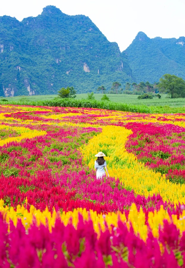 峒那屿湾景区图片