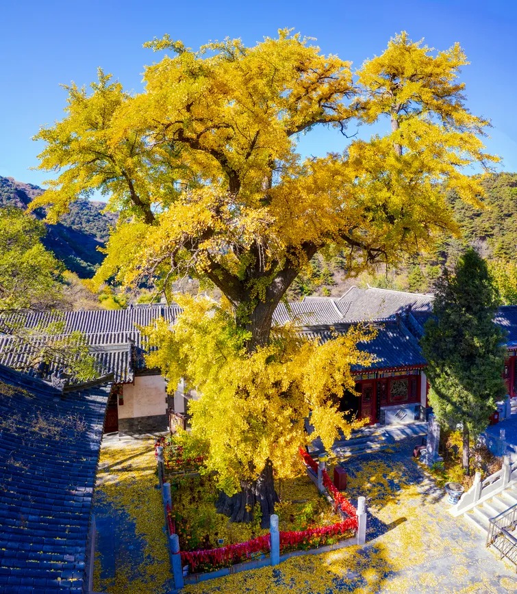 青龙山图片
