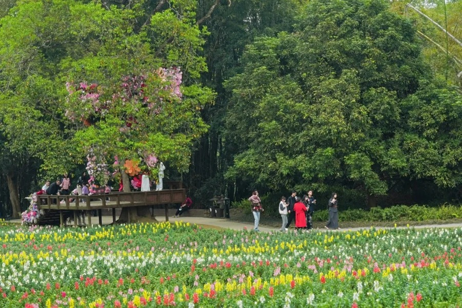 峒那屿湾景区图片