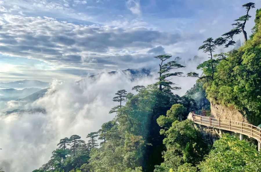 莽山五指峰景区图片