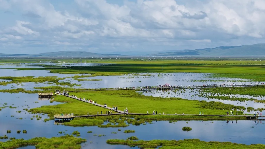若尔盖花湖生态旅游区图片