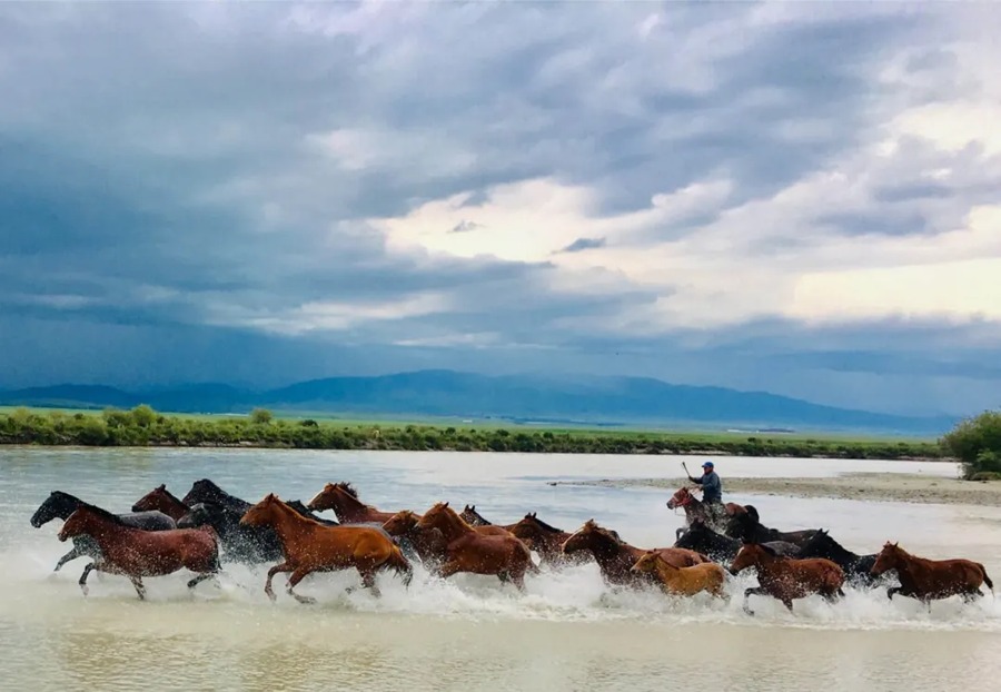 昭苏湿地公园景区图片