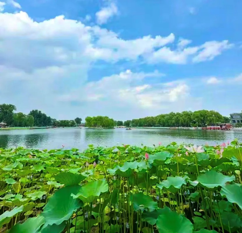 什刹海（积水潭）图片