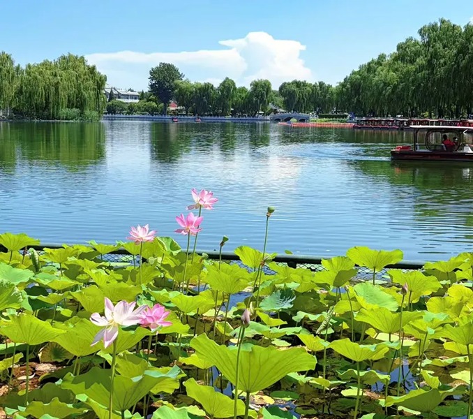什刹海（积水潭）图片