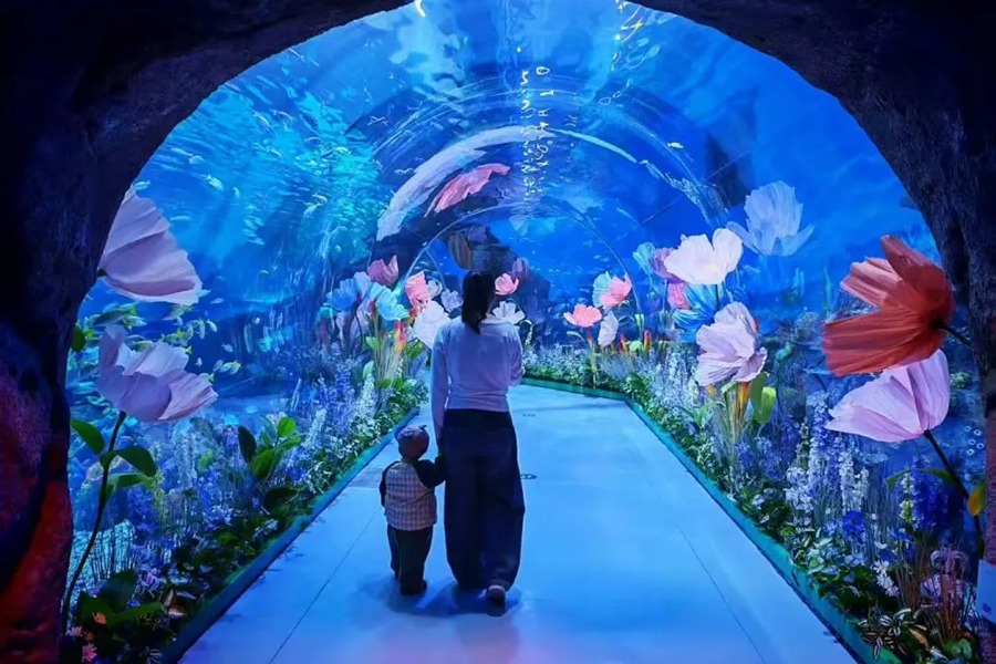 长沙湘江海洋王国图片
