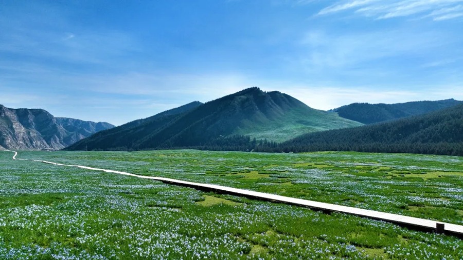 祁连山冰沟河景区图片