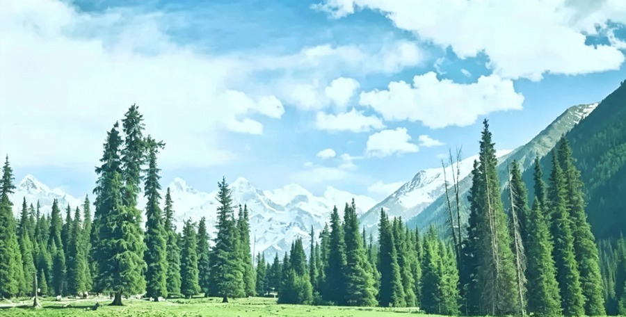 夏塔旅游景区图片