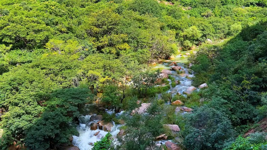 长寿山图片