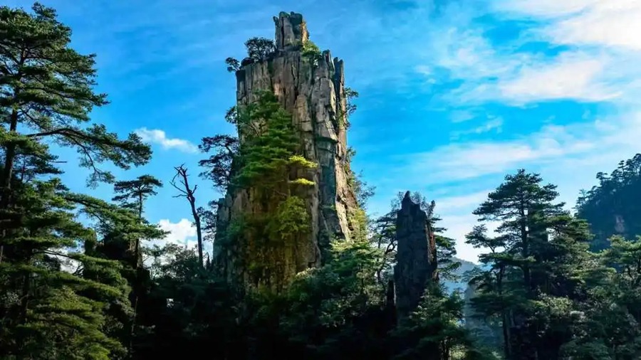 莽山旅游区国家森林公园图片