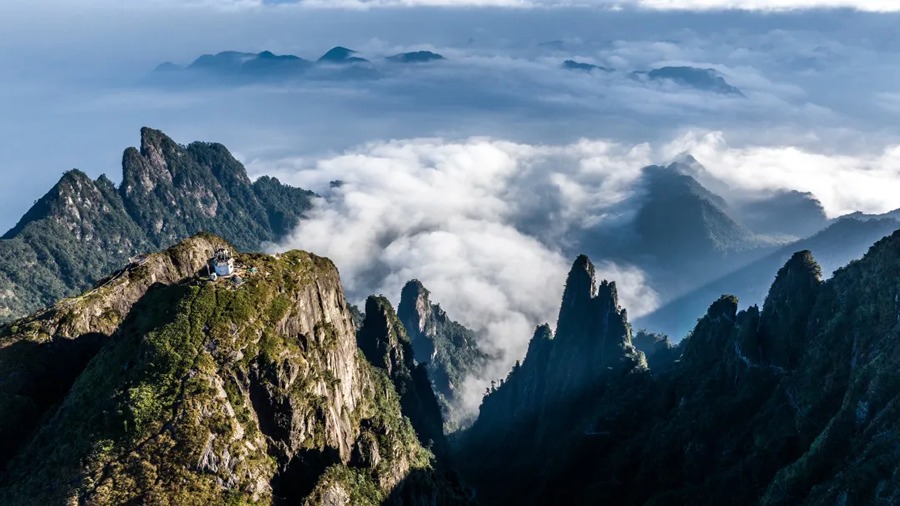 莽山旅游区国家森林公园图片