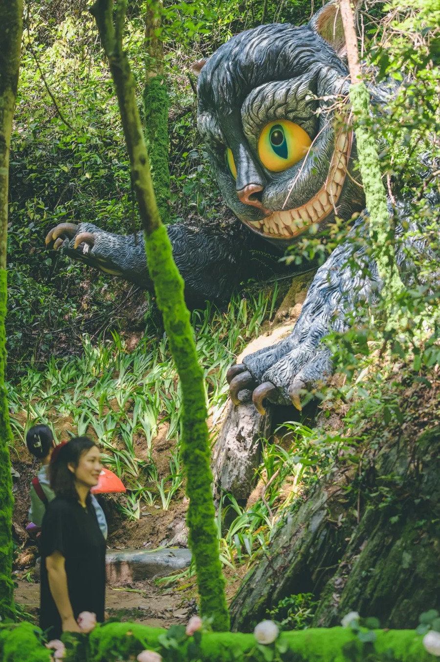 皇龙大峡谷图片