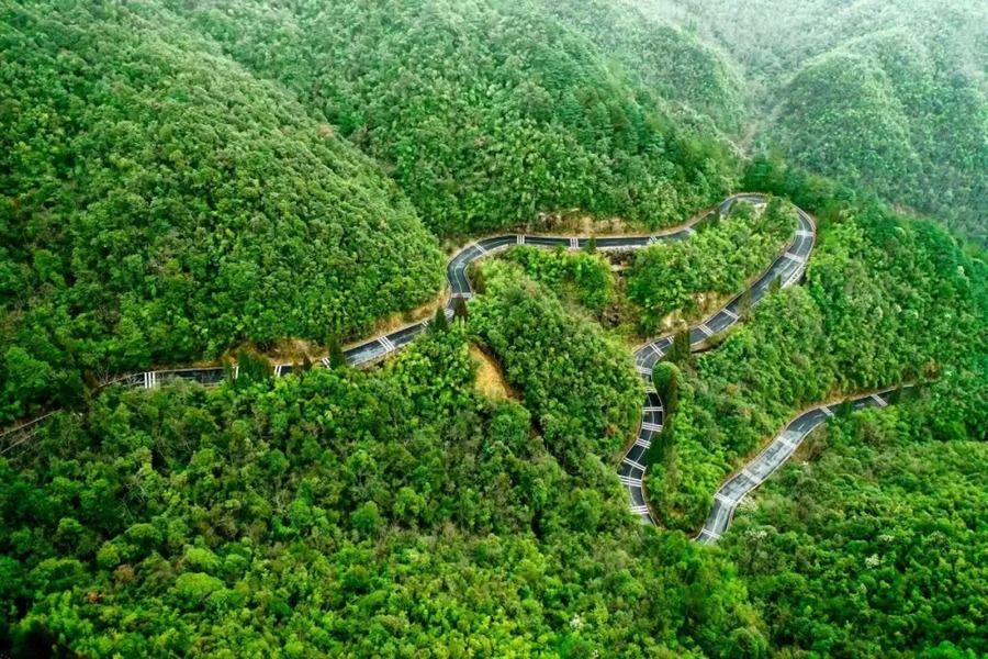 莽山旅游区国家森林公园图片