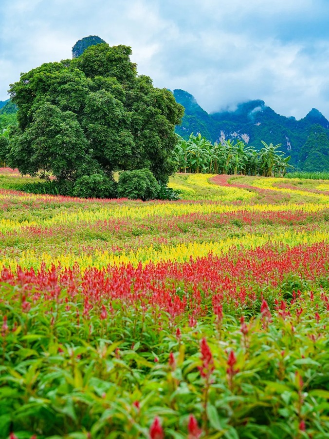 峒那屿湾景区图片