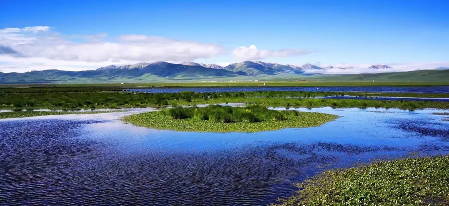 若尔盖花湖生态旅游区图片