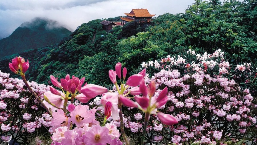 莽山旅游区国家森林公园图片