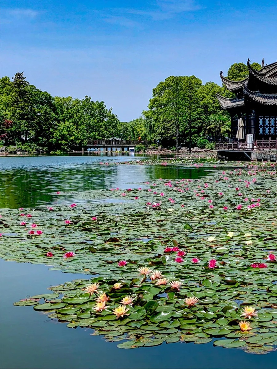 永泉小镇图片