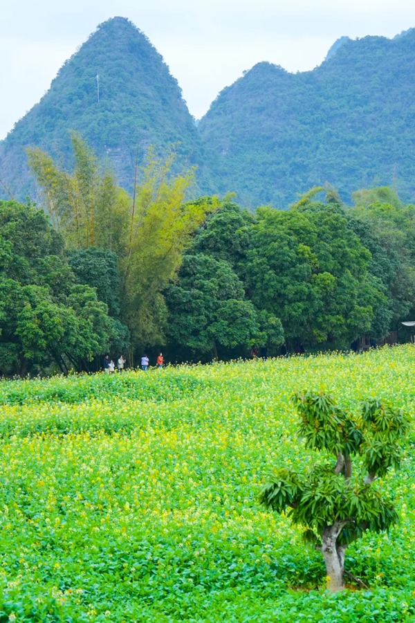 峒那屿湾景区图片