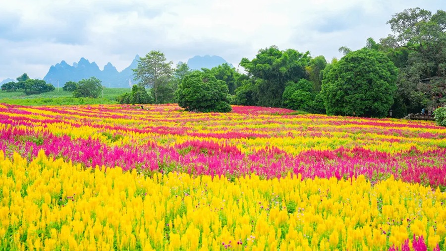 峒那屿湾景区图片