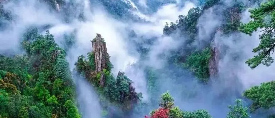 莽山旅游区国家森林公园图片