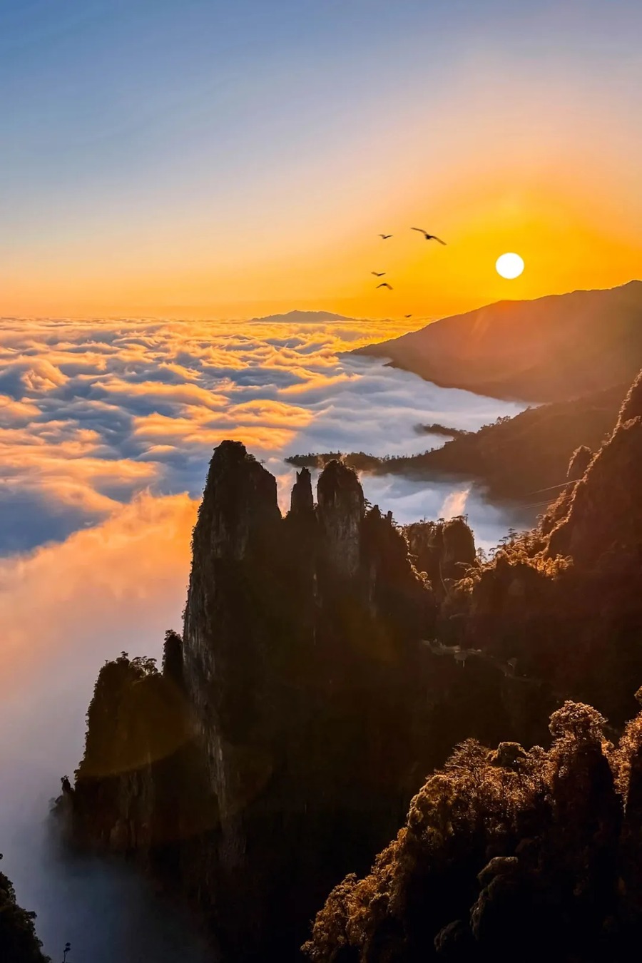 莽山五指峰景区图片