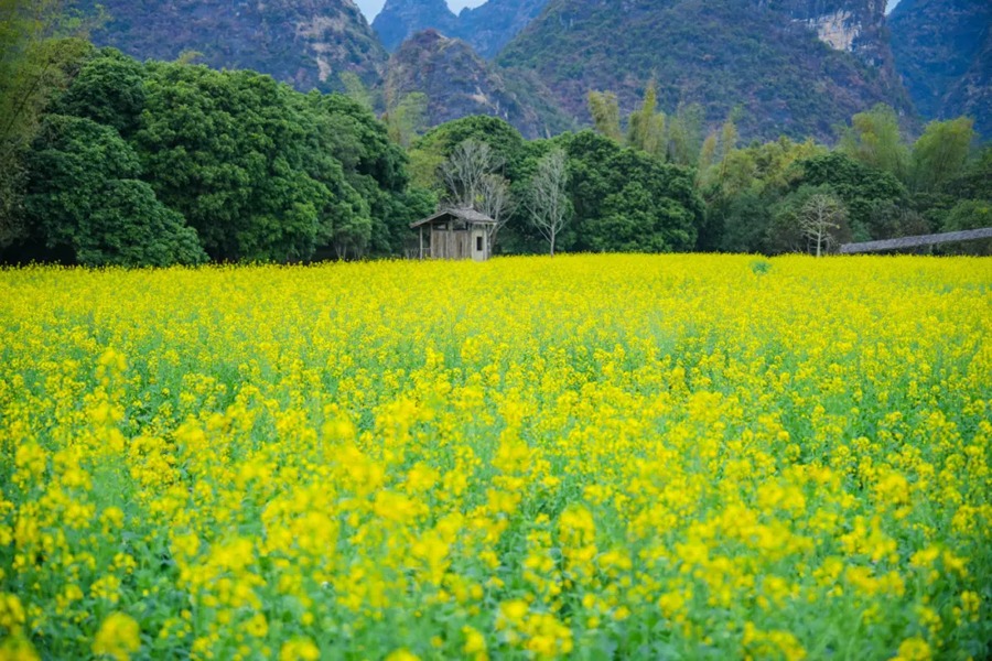 峒那屿湾景区图片