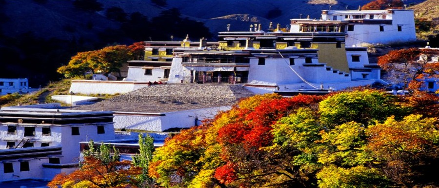 五当召图片