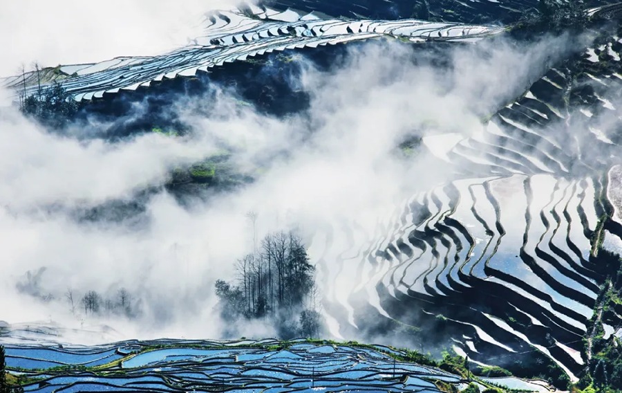 元阳哈尼梯田图片