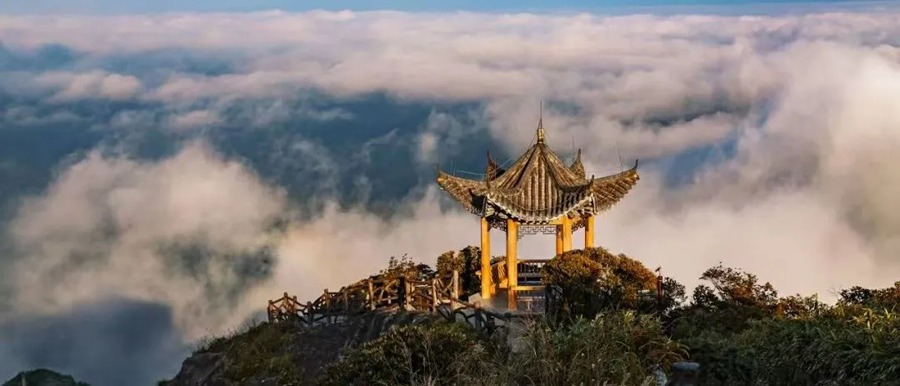 莽山旅游区国家森林公园图片