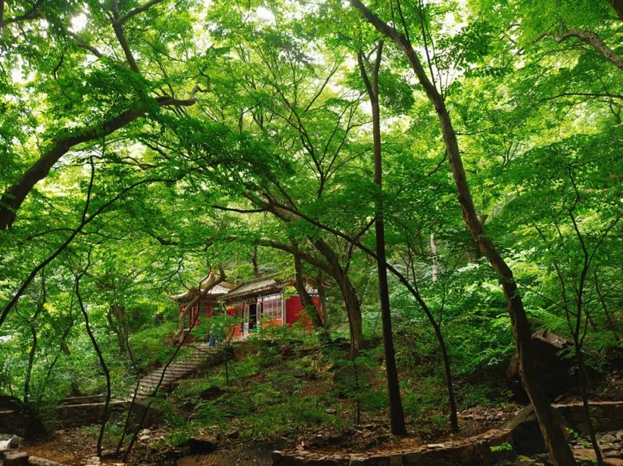 苍岩山风景区图片